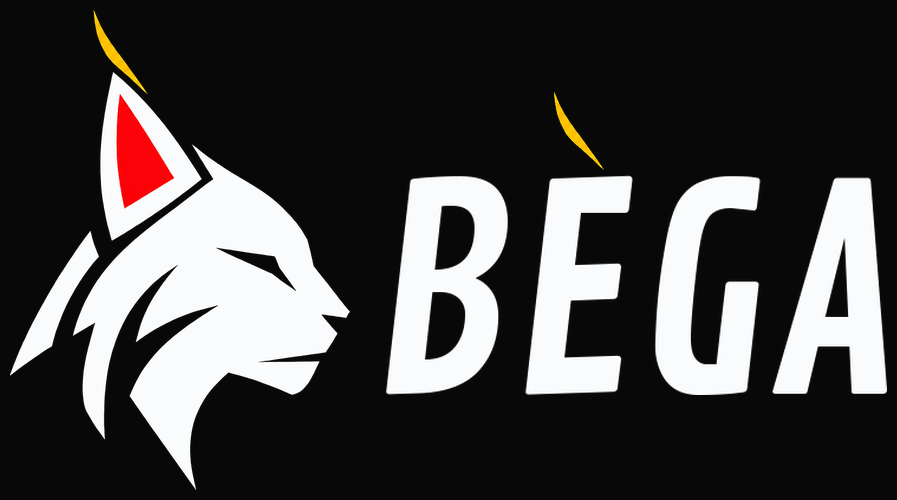 Bėga